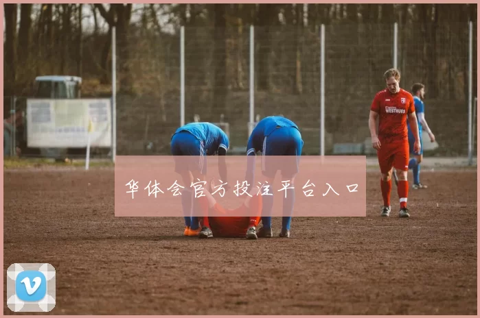 华体会官方投注平台入口