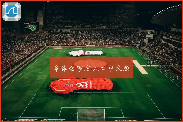 华体会官方入口中文版