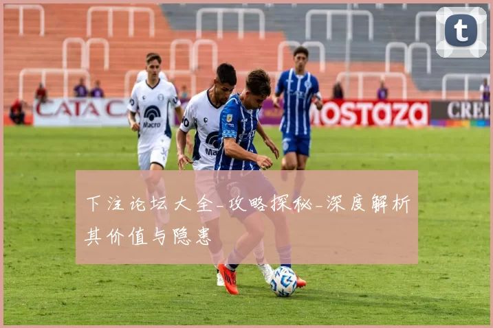 下注论坛大全_攻略探秘_深度解析其价值与隐患