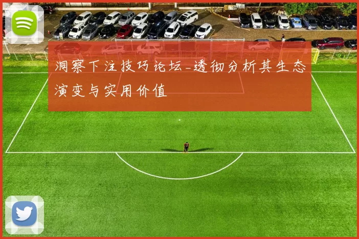 洞察下注技巧论坛_透彻分析其生态演变与实用价值