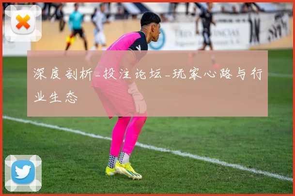 深度剖析_投注论坛_玩家心路与行业生态